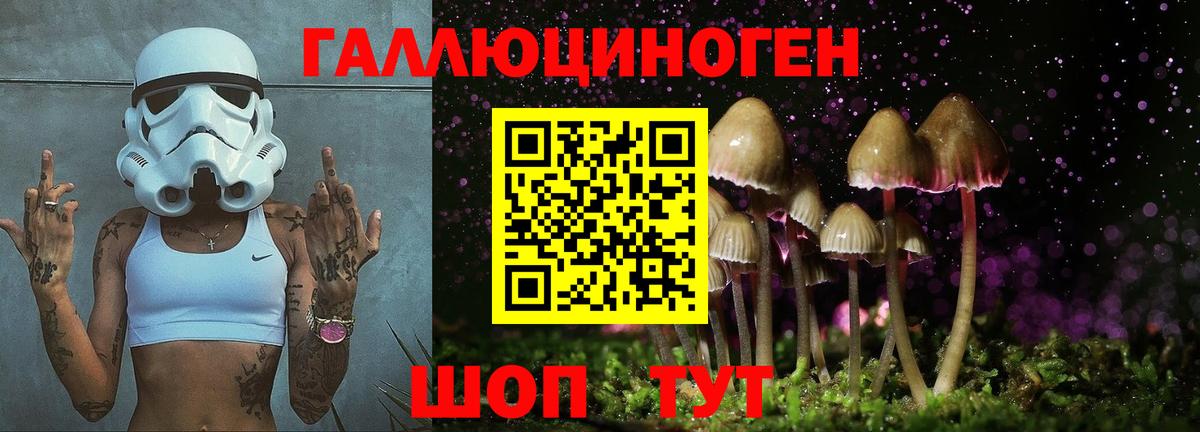 Галлюциногенные грибы Magic Shrooms  Вход с VPN  цены   Фрязино 